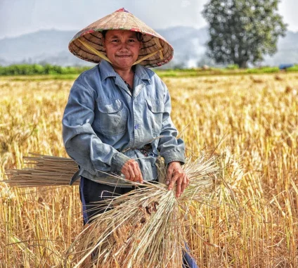 There are many variations of passages of Lorem Ipsum available, but majority have suffered teration in some form, by injected humour, or randomised words which don't look even slight believable. If you are going to use a passage of Lorem Ipsum.