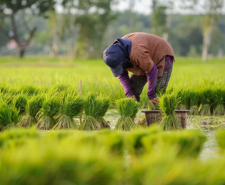 Accelerate innovation with world-class tech teams We’ll match you