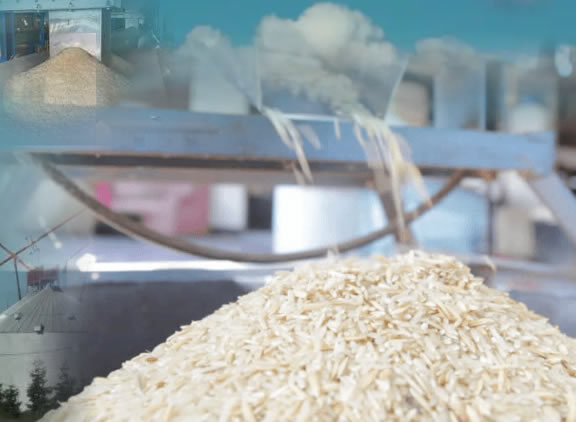 Processing and marketing of: Long-grain white rice, Red rice, Brown rice, Parboiled rice. Benefit: Adds local value, reduces post-harvest losses, and increases farmer incomes.