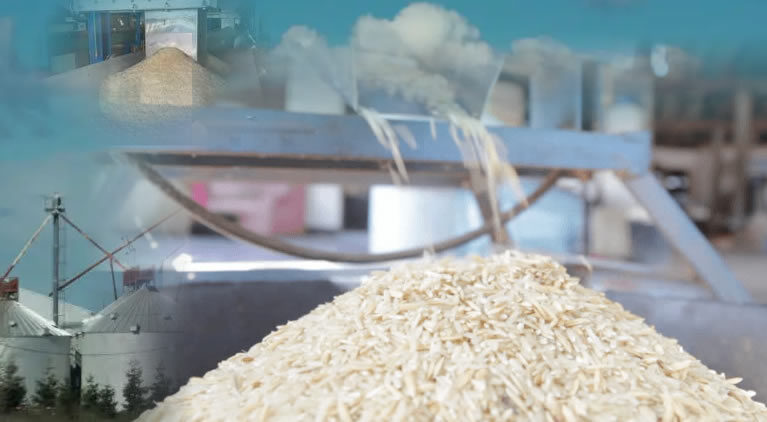 Processing and marketing of: Long-grain white rice, Red rice, Brown rice, Parboiled rice. Benefit: Adds local value, reduces post-harvest losses, and increases farmer incomes.