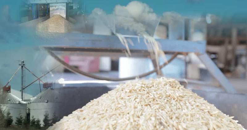 Processing and marketing of: Long-grain white rice, Red rice, Brown rice, Parboiled rice. Benefit: Adds local value, reduces post-harvest losses, and increases farmer incomes.