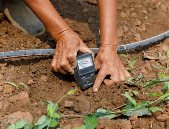 We support farmers with inputs, technical guidance, and guaranteed markets. Benefit: Reduces production risk while increasing income stability for smallholder farmers.