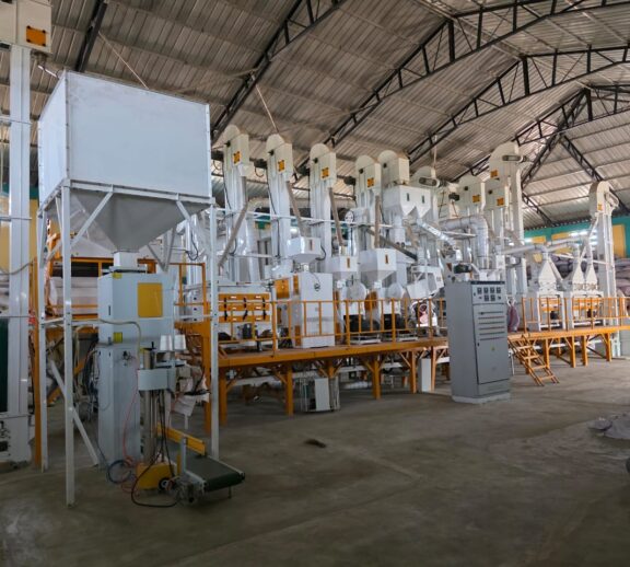 Processing and marketing of: Long-grain white rice, Red rice, Brown rice, Parboiled rice. Benefit: Adds local value, reduces post-harvest losses, and increases farmer incomes.
