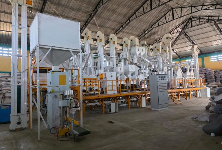 Processing and marketing of: Long-grain white rice, Red rice, Brown rice, Parboiled rice. Benefit: Adds local value, reduces post-harvest losses, and increases farmer incomes.